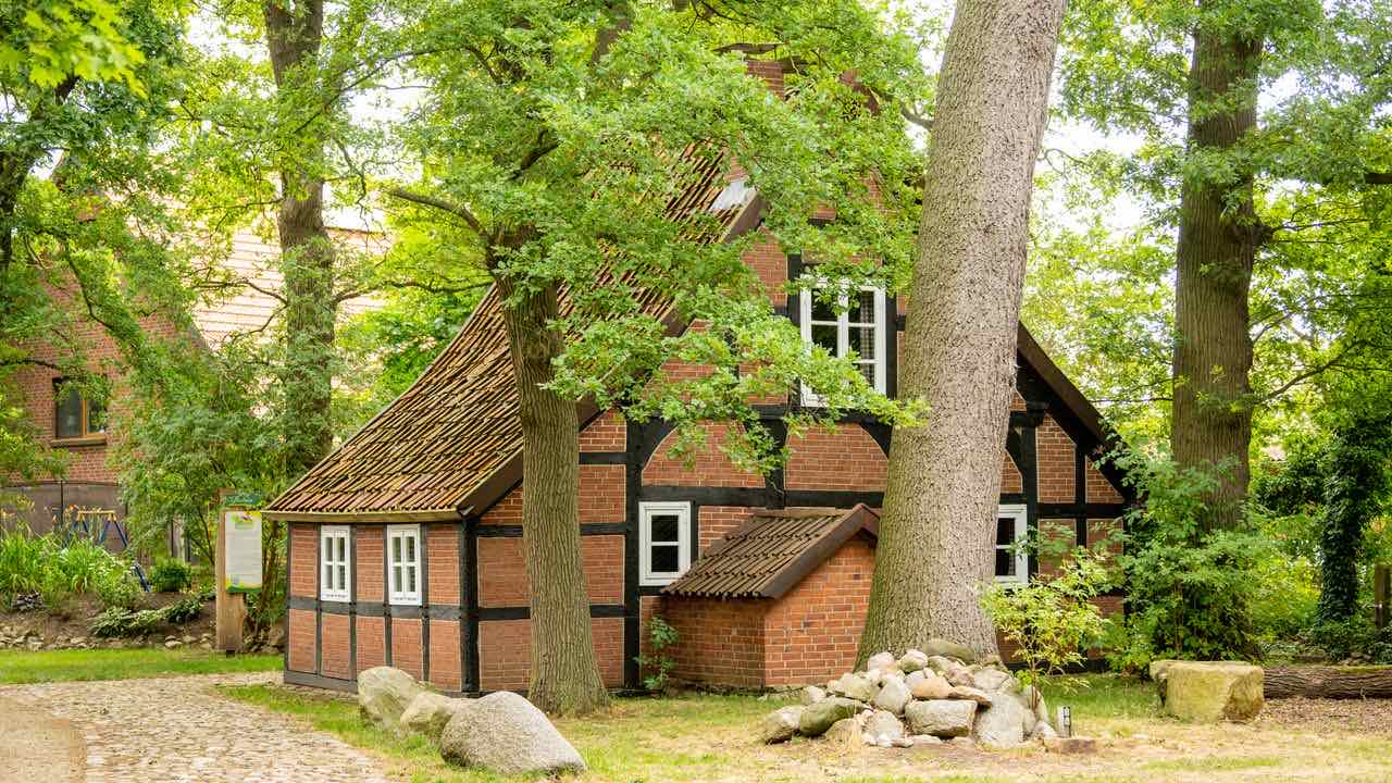 Das Fachwerk-Backhaus von Schlumps Backs zwischen hohen Eichen im Sommer